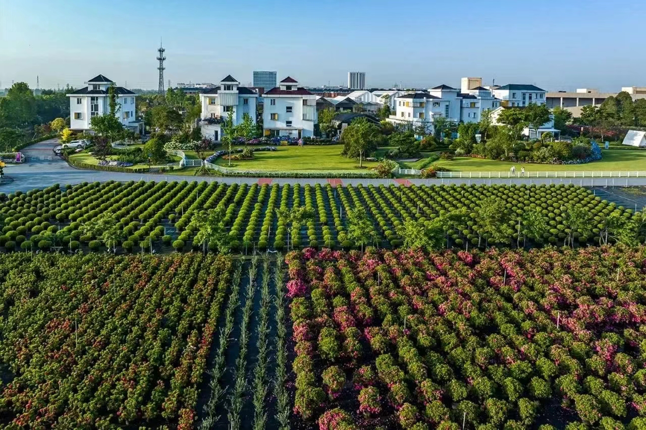 過年不打烊！虹越線上零售渠道營業安排通知！